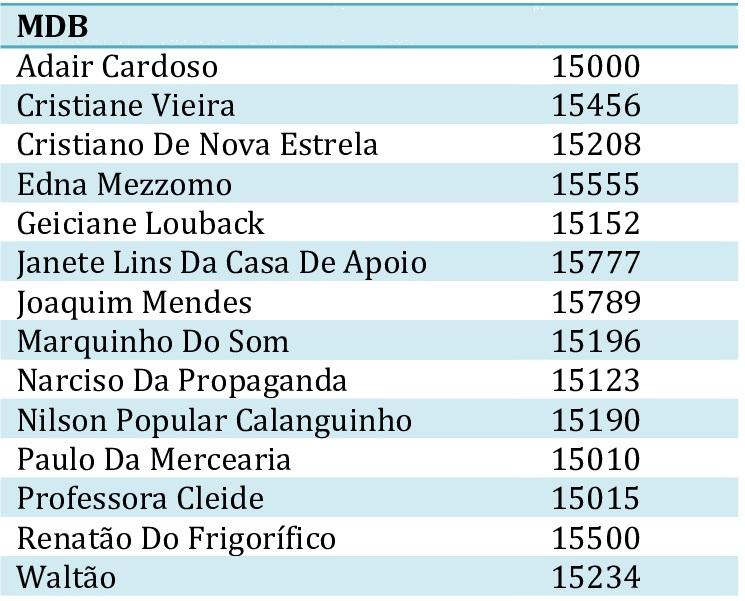 ELEIÇÕES 2020: SISTEMA PROPORCIONAL: Conheça um pouco mais sobre o sistema que elege os vereadores 