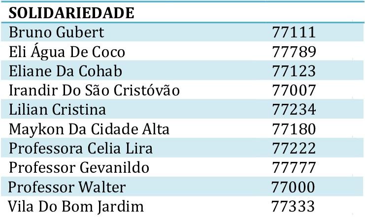 ELEIÇÕES 2020: SISTEMA PROPORCIONAL: Conheça um pouco mais sobre o sistema que elege os vereadores 