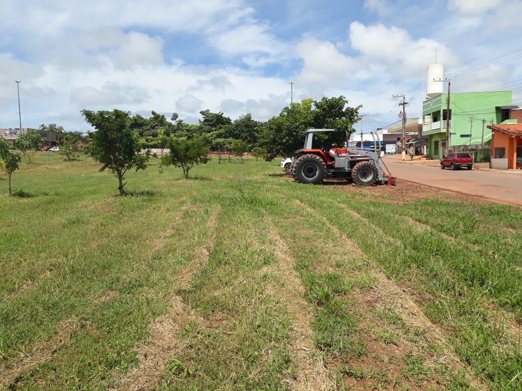 ROLIM DE MOURA: Grupo ambiental Aruana fará ação de plantio no Centro da cidade ROLIM DE MOURA: Grupo ambiental Aruana fará ação de plantio no Centro da cidade