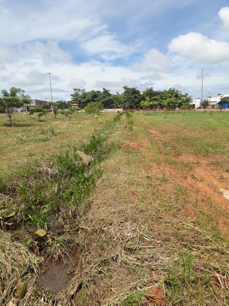 ROLIM DE MOURA: Grupo ambiental Aruana fará ação de plantio no Centro da cidade ROLIM DE MOURA: Grupo ambiental Aruana fará ação de plantio no Centro da cidade