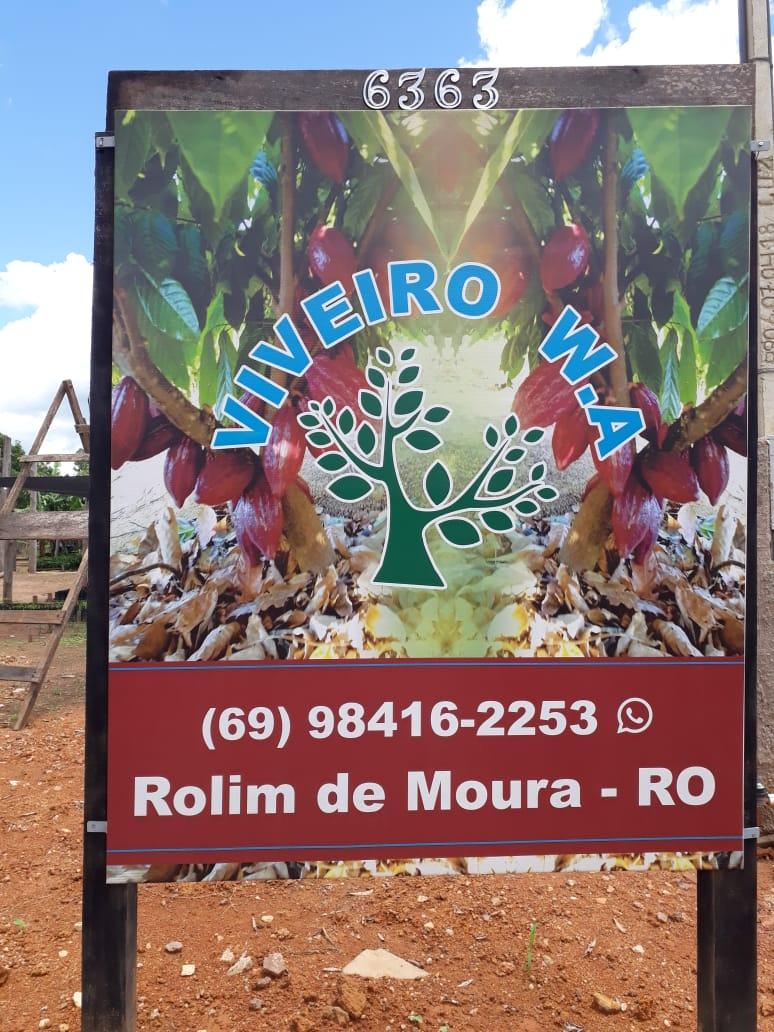 ROLIM DE MOURA: Grupo ambiental Aruana fará ação de plantio no Centro da cidade ROLIM DE MOURA: Grupo ambiental Aruana fará ação de plantio no Centro da cidade
