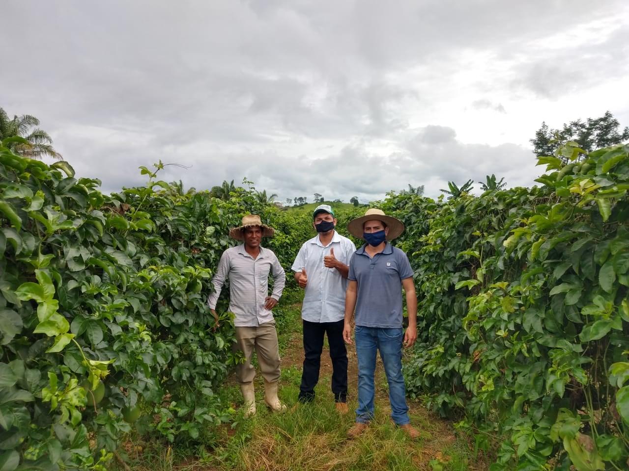 Equipe técnica da Semagri oferece assistência a produtor de Maracujá em Rolim de Moura