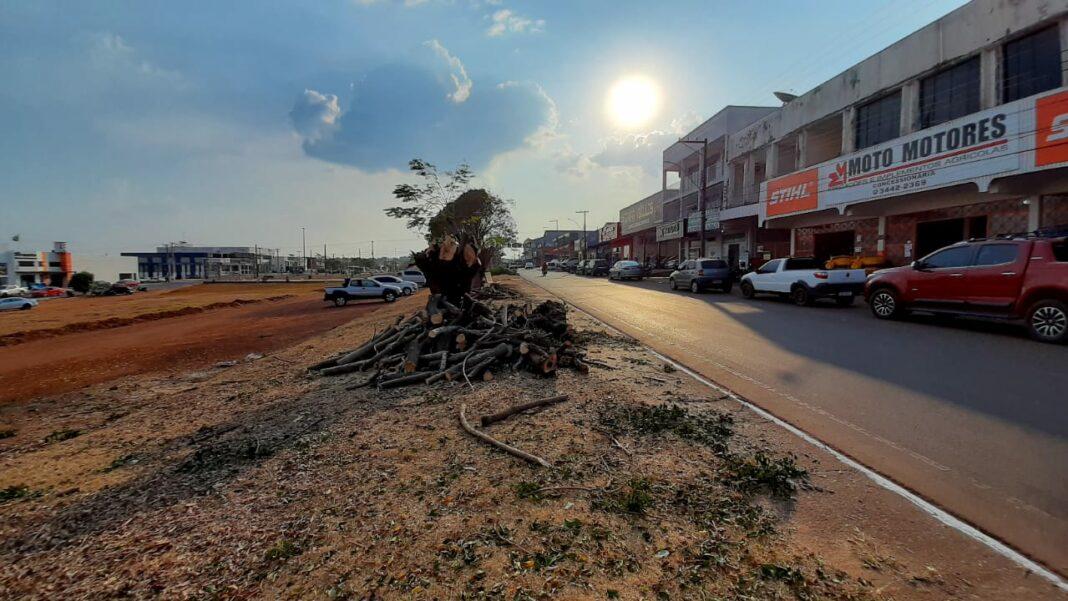 Rolim de Moura: Cortes de árvores que danificam calçadas e tubulações causam revolta na população