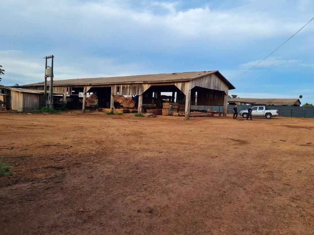 Polícia Federal deflagra operação contra extração irregular de madeira da Floresta Amazônica