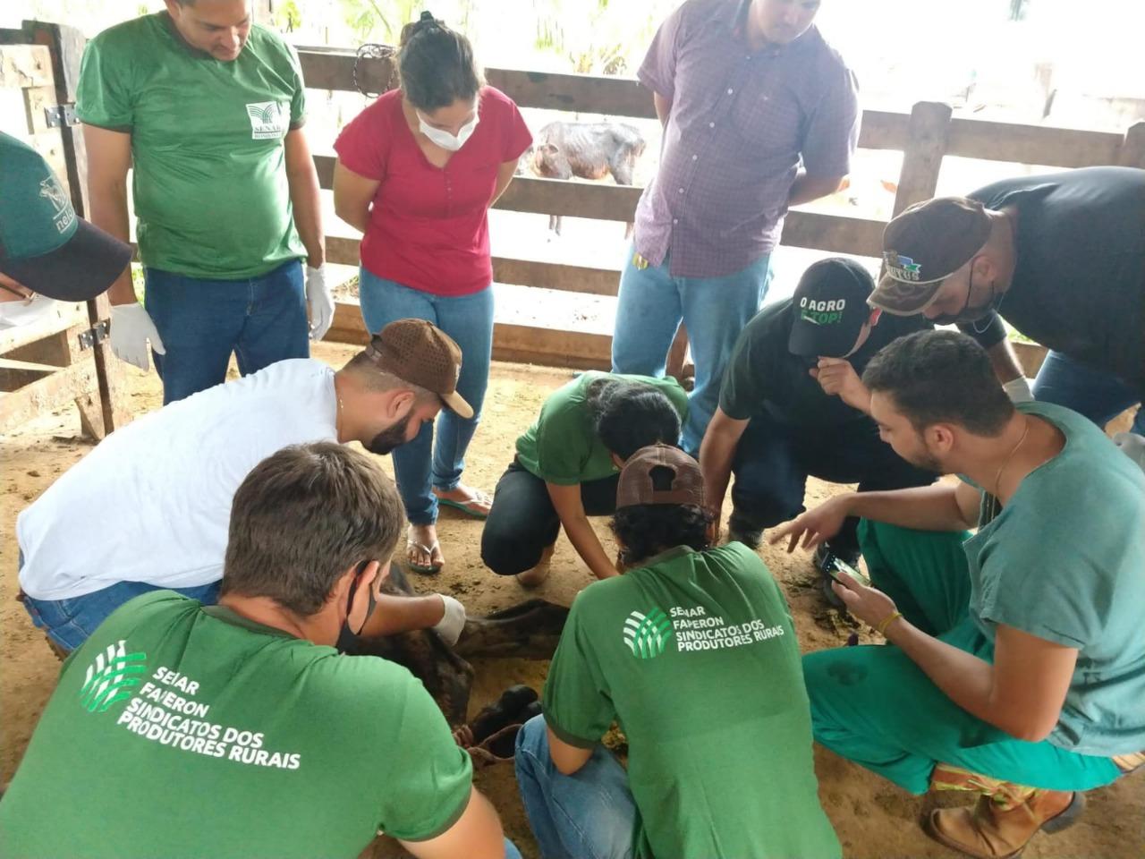 Produtores de Rolim de Moura recebem curso de auxiliar de veterinária e vacinador de bovinos Produtores de Rolim de Moura recebem curso de auxiliar de veterinária e vacinador de bovinos