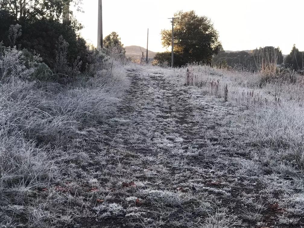 Cidades de SC registram mínima de -5,13ºC na madrugada desta sexta-feira; Onda de frio se espalhou pelo Brasil Cidades de SC registram mínima de -5,13ºC na madrugada desta sexta-feira; Onda de frio se espalhou pelo Brasil