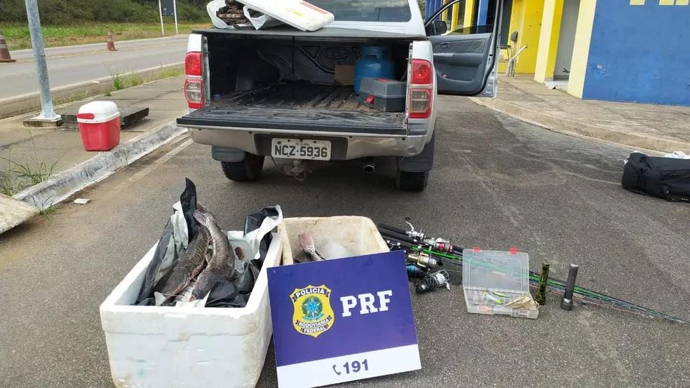 80Kg de peixe são apreendidos de forma ilegais em Vilhena