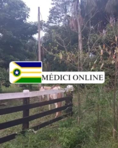Idoso é encontrado morto ao lado de cavalo em chácara de Presidente Médici