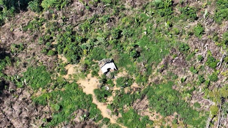 DESMATAMENTO: Invasores podem dizimar povo Karipuna em Rondônia DESMATAMENTO: Invasores podem dizimar povo Karipuna em Rondônia
