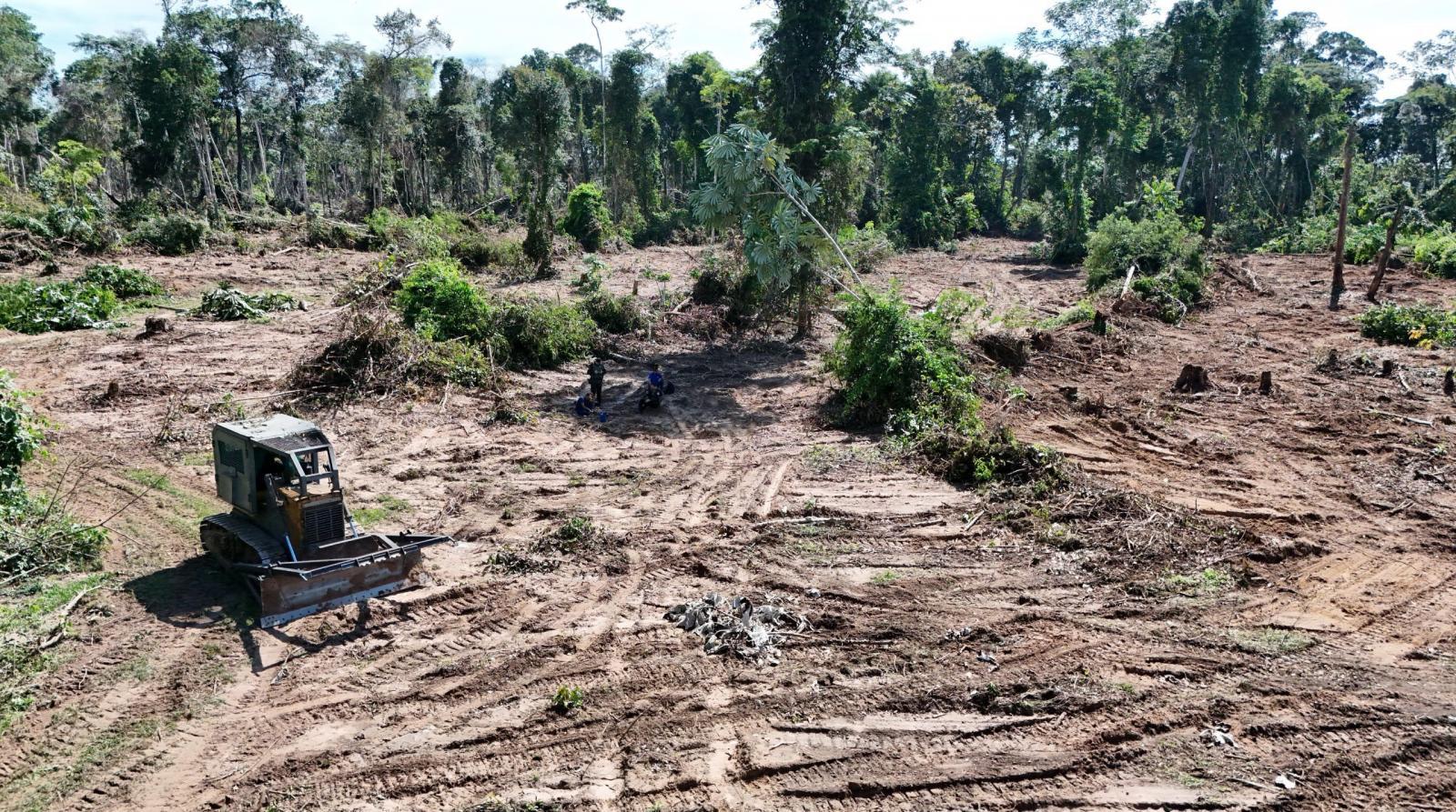 Trator roubado em Alta Floresta do Oeste é apreendido em operação contra desmatamento em Seringueiras Trator roubado em Alta Floresta do Oeste é apreendido em operação contra desmatamento em Seringueiras