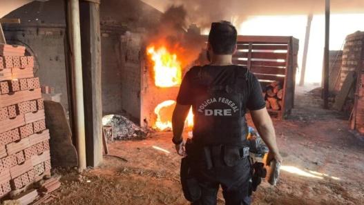 Polícia Federal destrói aproximadamente 2 toneladas de entorpecentes em RO Polícia Federal destrói aproximadamente 2 toneladas de entorpecentes em RO