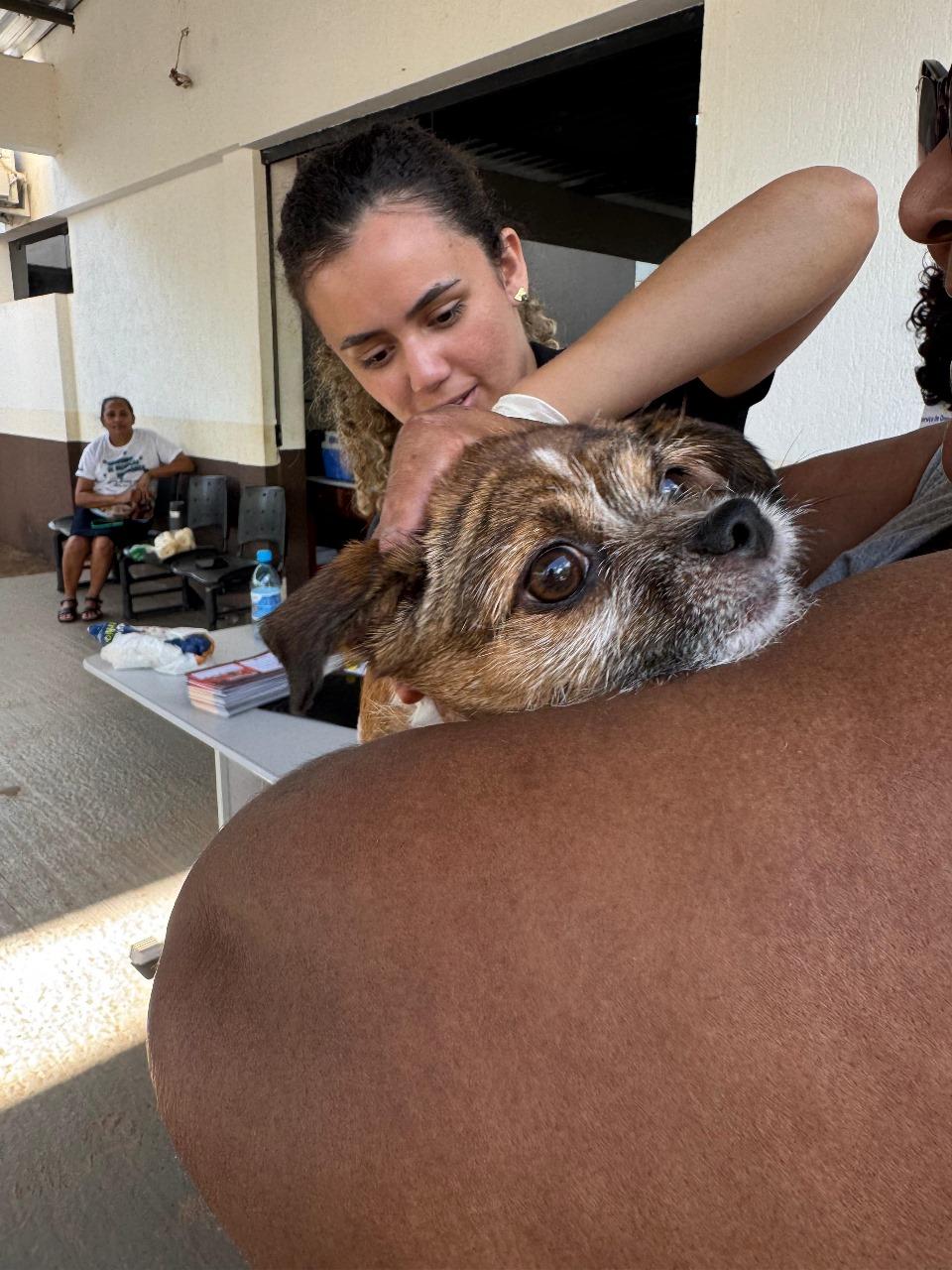 Rolim de Moura vacina mais de 12 mil cães e gatos contra a raiva Rolim de Moura vacina mais de 12 mil cães e gatos contra a raiva