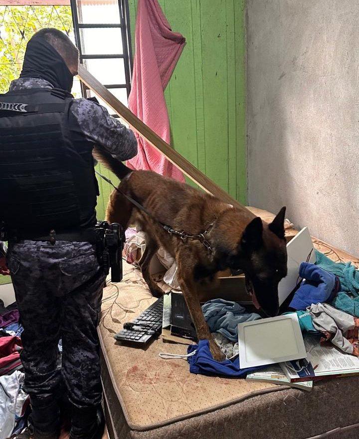 Megaoperação em Cacoal, Rolim e Espigão termina com sete presos e um suspeito morto Megaoperação em Cacoal, Rolim e Espigão termina com sete presos e um suspeito morto