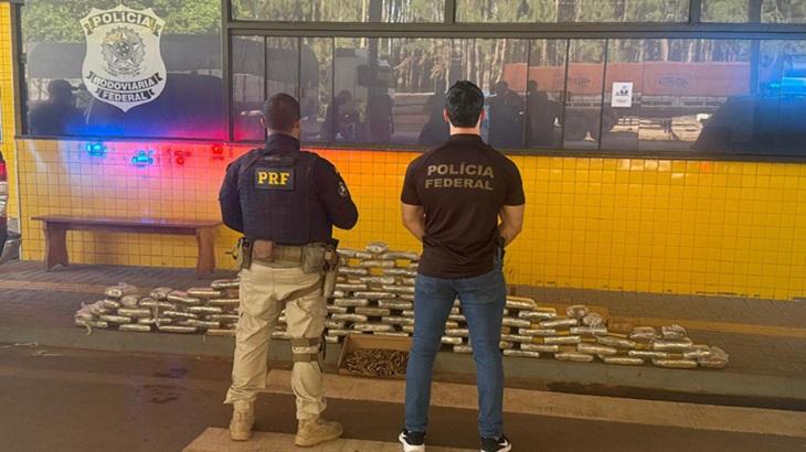 Drogas e quase 500 munições são apreendidas por forças policiais